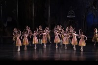 K-BALLET TOKYO Spring Tour 2025「白鳥の湖」より。©K-BALLET TOKYO