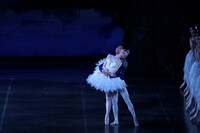 K-BALLET TOKYO Spring Tour 2025「白鳥の湖」日髙世菜出演回より。©K-BALLET TOKYO