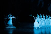 東京バレエ団「ジゼル」全2幕より。（撮影：松橋晶子）