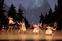 東京バレエ団「ジゼル」全2幕より。（撮影：松橋晶子）