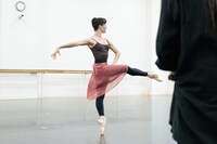 オーストラリア・バレエ団 2025年日本公演「ドン・キホーテ」公開リハーサルより。