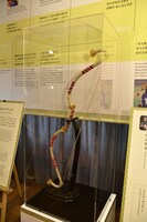 「尾上菊之助改め八代目尾上菊五郎 尾上丑之助改め六代目尾上菊之助 襲名展」の様子。