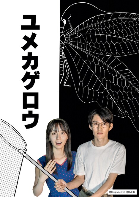 「ユメカゲロウ」ビジュアル