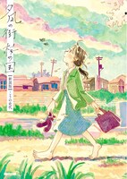 「夕凪の街 桜の国」書影（ゼノンコミックス）