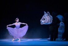 新国立劇場バレエ団「不思議の国のアリス」より、アリス役の小野絢子。（撮影：鹿摩隆司）