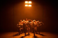 「CARCAÇA（カルカサ）」過去公演より。©Merkat de Flors