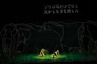 アクラム・カーン「ジャングル・ブック」より。（撮影：宮川舞子）