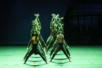 アクラム・カーン「ジャングル・ブック」より。（撮影：宮川舞子）