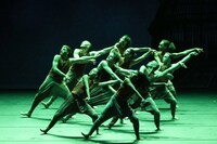 アクラム・カーン「ジャングル・ブック」より。（撮影：宮川舞子）