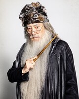 市村正親扮するアルバス・ダンブルドア