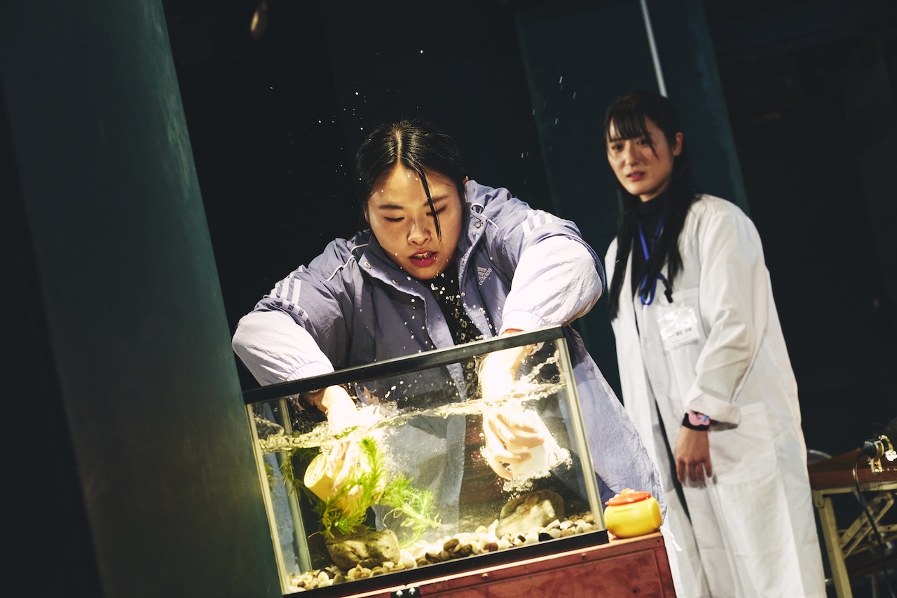 劇団しようよ「おろしたての魚群」開幕、大原渉平「どこかへ飛んでゆくような作品に」