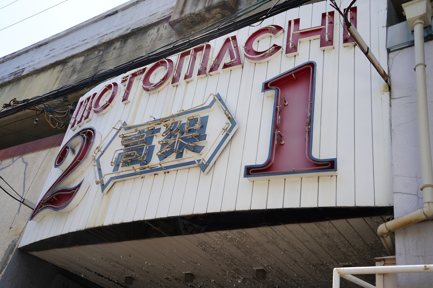モトコーの様子。
