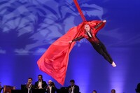 シルク・ドゥラ・シンフォニーの過去公演より。