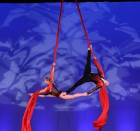 シルク・ドゥラ・シンフォニーの過去公演より。