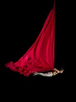 エアリアリストのウィンドゥ・セイルズ。