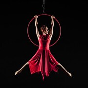 エアリアリストのローレン・スターク。