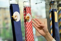 ドーナツを買いに行きたくなる組み合わせ！ 「TREATMEタイ（フレンチクルーラー）RED」は、アメリカンダイナーのテーブルクロスのような赤チェックが目を引く。