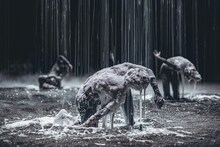 ダミアン・ジャレ×名和晃平「Planet[wanderer]」より。©Rahi Rezvani