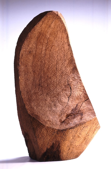 砂澤ビッキ「神の舌」