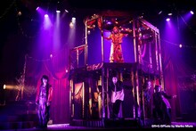 劇団おぼんろ 第26回本公演「ラルスコット・ギグの動物園」より。