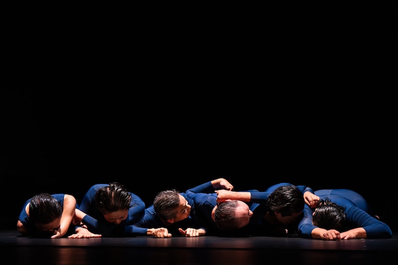 態変「BRAIN（ブレイン）」より。（撮影：相模友士郎）