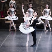 K-BALLET TOKYO「ドン・キホーテ」開幕、10月18日よりBunkamura オーチャードホールでも