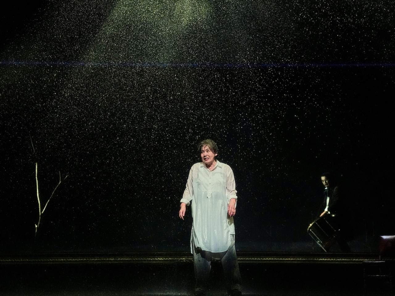 「毎日毎日が刺激的」大竹しのぶが手応え、フィリップ・ブリーン演出「リア王」開幕