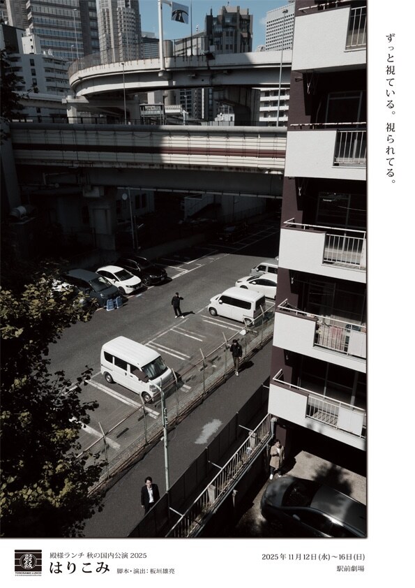 殿様ランチ「はりこみ」チラシ