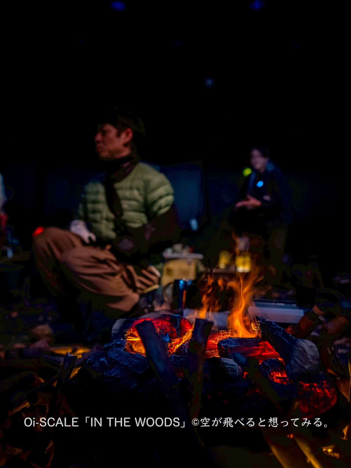 Oi-SCALE「IN THE WOODS」より。