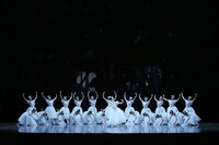 東京バレエ団「ラ・シルフィード」より。（Photo by Kiyonori Hasegawa）