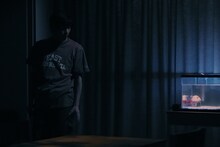 ヒラタオフィス＋TAAC「金魚の行方」より。（撮影：堀川高志）