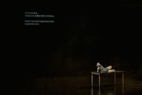 「Disco on the planet」より。（撮影：井上嘉和）