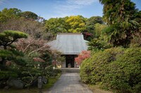 「MPAD2025」より、鎌ヶ谷アルトギルドによる山田風太郎「さようなら」の会場となった塔世山 四天王寺。（撮影：森井一鷹）