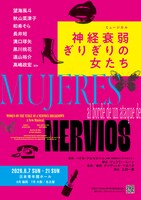 ミュージカル「神経衰弱ぎりぎりの女たち」チラシ