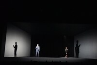 「スリー・キングダムス Three Kingdoms」公開フォトコールより。