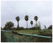 「『森下真樹 ベートーヴェン『運命』全楽章を踊る」ビジュアル ©Naoki Ishikawa