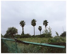 「『森下真樹 ベートーヴェン『運命』全楽章を踊る」ビジュアル ©Naoki Ishikawa