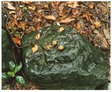 「『森下真樹 ベートーヴェン『運命』全楽章を踊る」ビジュアル ©Naoki Ishikawa