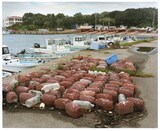 「『森下真樹 ベートーヴェン『運命』全楽章を踊る」ビジュアル ©Naoki Ishikawa