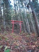 里山に登れば、ふいに現れるお社や鳥居に身が引き締まる。