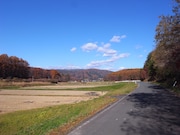 街を出るとすぐに田園風景が広がる。