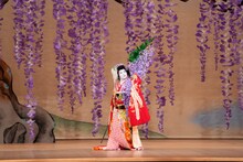 中村橋之助らがエネルギッシュに届ける「新春浅草歌舞伎」開幕