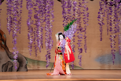 「新春浅草歌舞伎」第一部より、「藤娘」の様子。©︎松竹