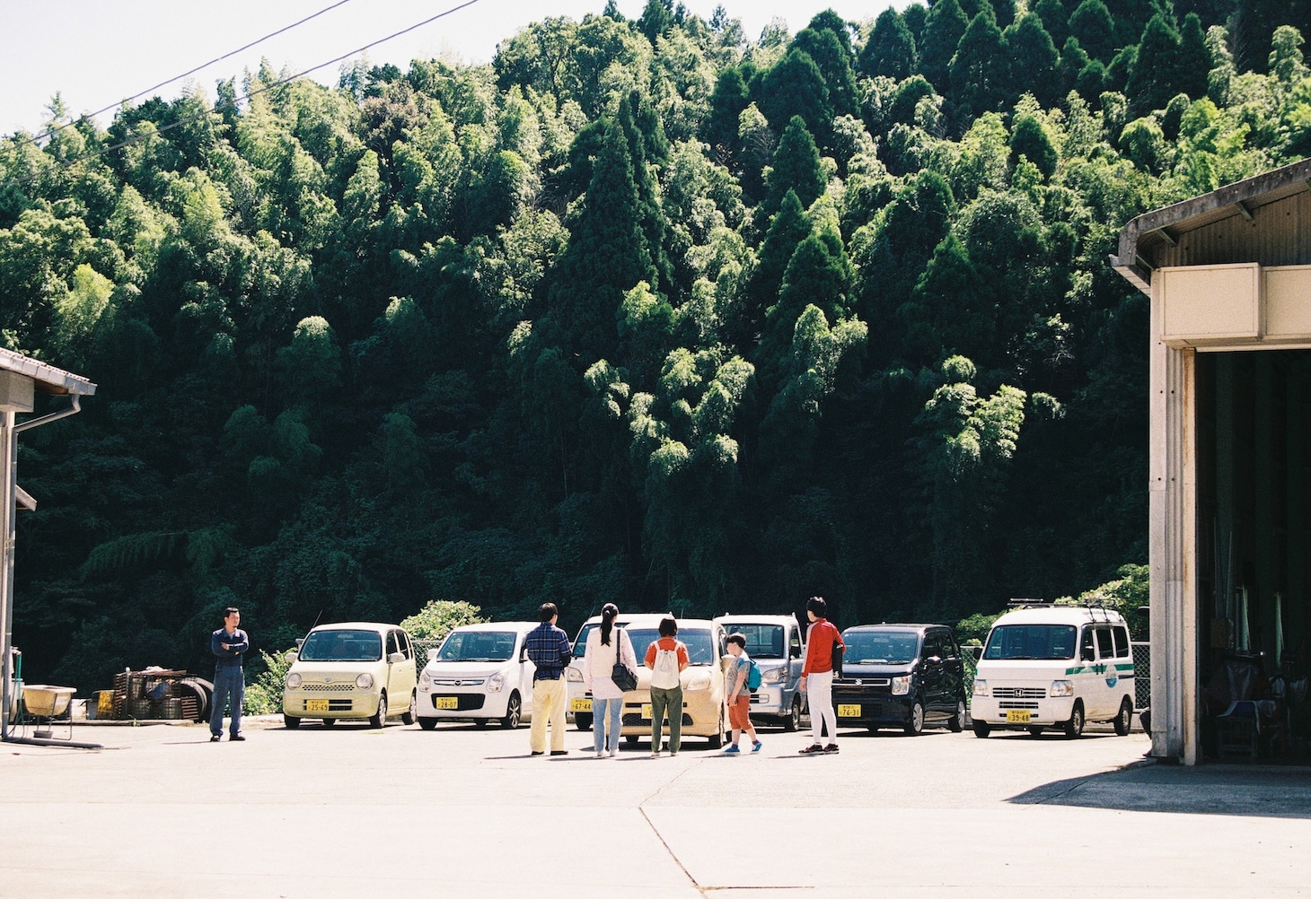 映画「チャオ・ヤングの墓」場面写真より。