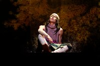 舞台「火喰鳥-羽州ぼろ鳶組-」より。