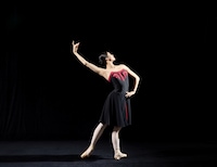 「ファイヴ・タンゴ」ビジュアル©Satoshi Yasuda