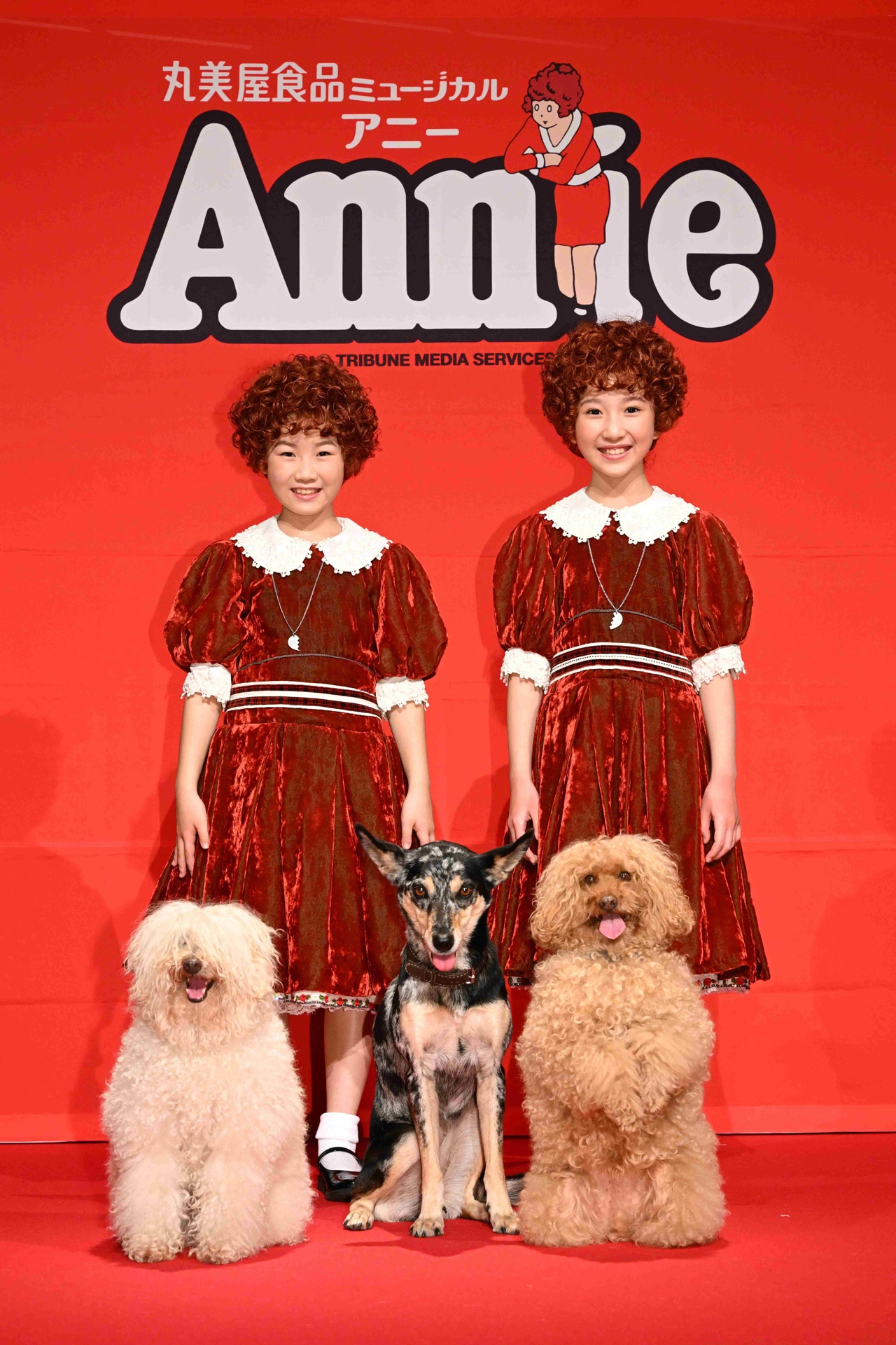 丸美屋食品ミュージカル「アニー」2026年公演の製作発表会見より、後列左から下山夏永、牧田花、前列左から家康、まつり、おこげ。