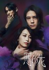 五関晃一・海乃美月が絡み合う…「悪の花」メインビジュアル＆全キャストソロビジュアル