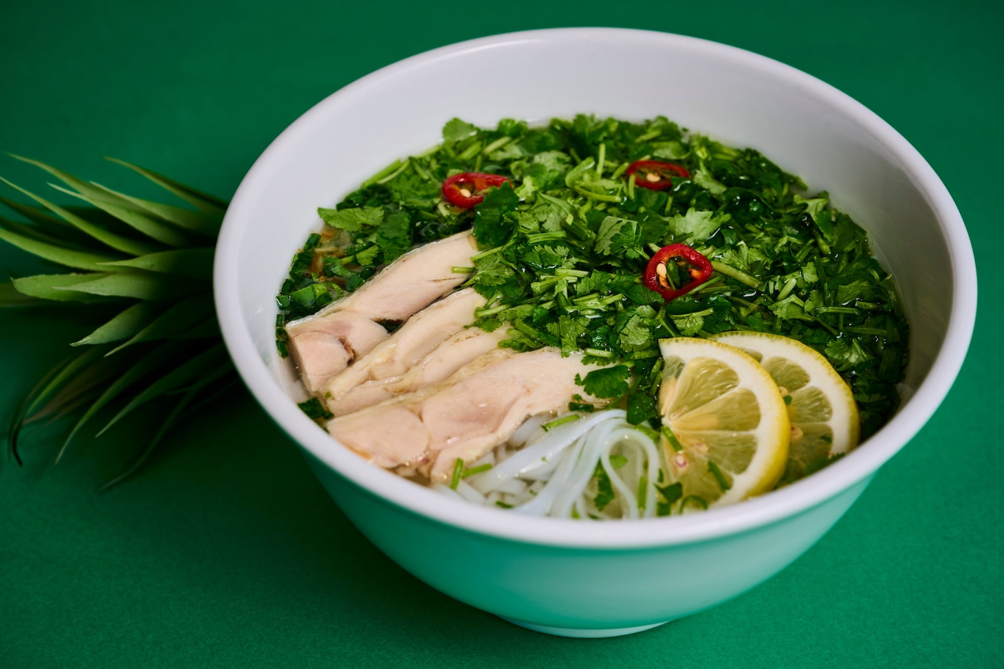 “悪い魔女”のグリーンチキンフォー（ベトナム総菜付き）（VIETNAMESE CYCLO / B1）