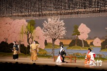 歌舞伎座「三月大歌舞伎」が晴れやかに開幕、尾上松緑と坂東巳之助がWキャストで熱量高く